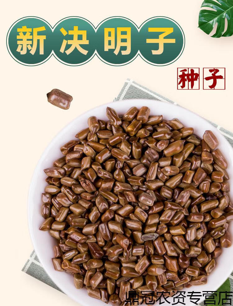 决明子种子中药材生决明子种籽草决明孑春季种植玩具沙可装枕头决明子