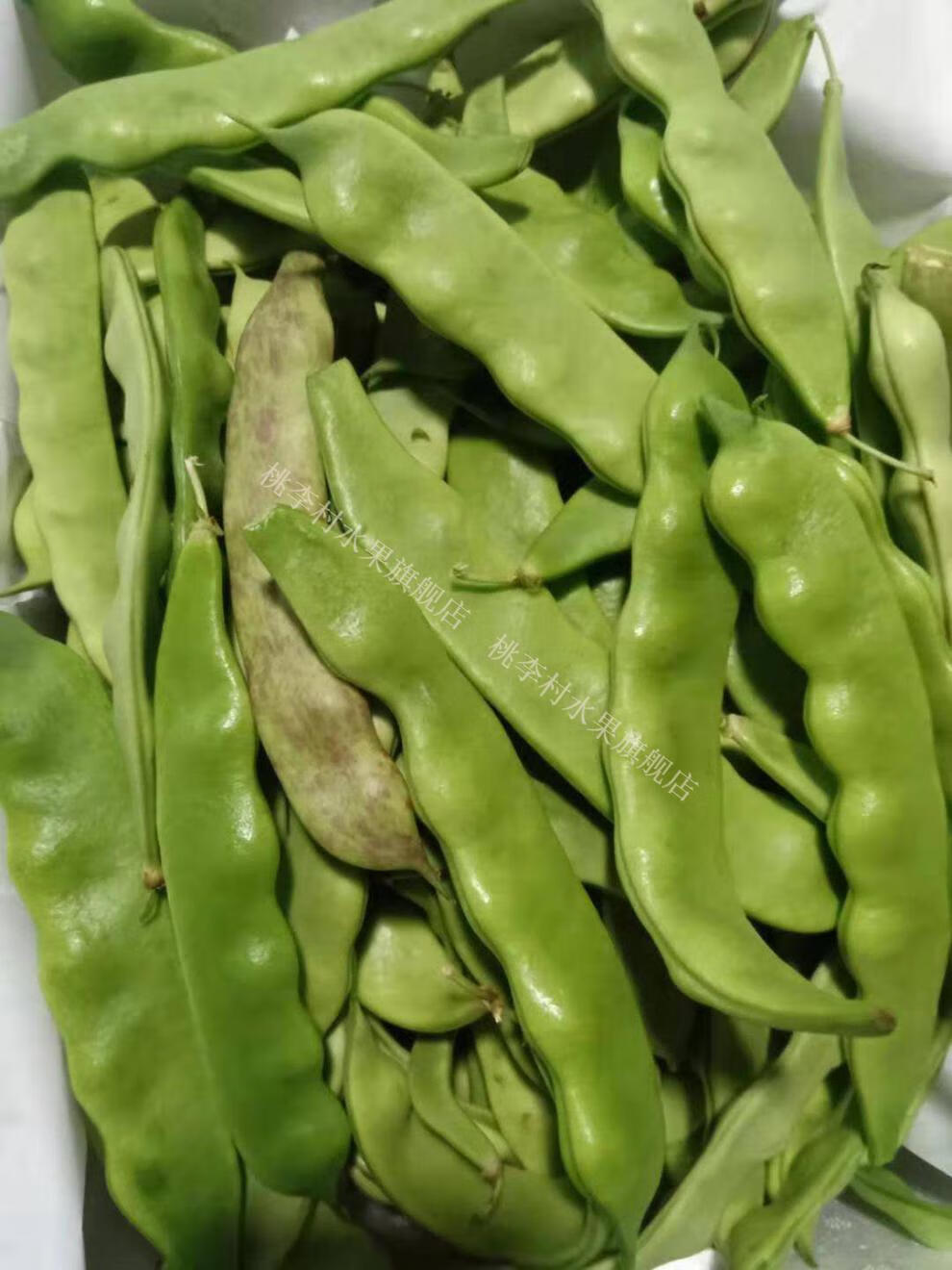 【jd顺丰直达】东北油豆角 豆角新鲜蔬菜九月青现摘现卖 2500g