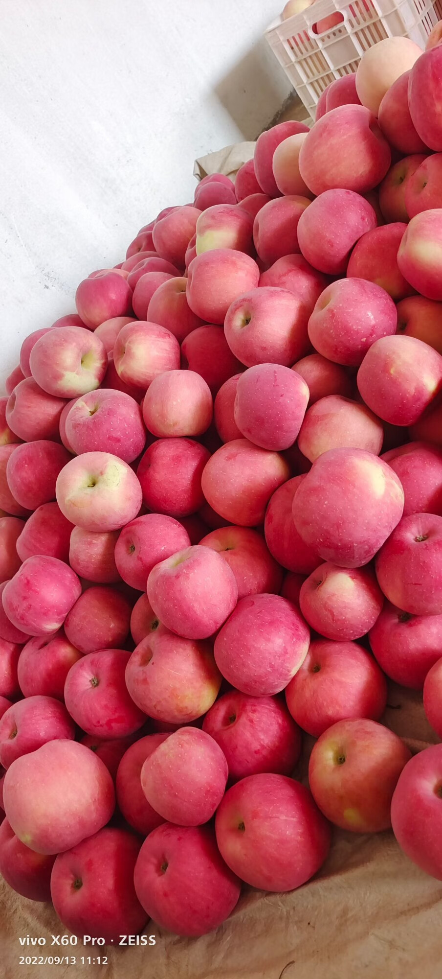 芬岚 延安延长高原山地苹果5斤新鲜奶油红富士陕北特产粉面果 2500g