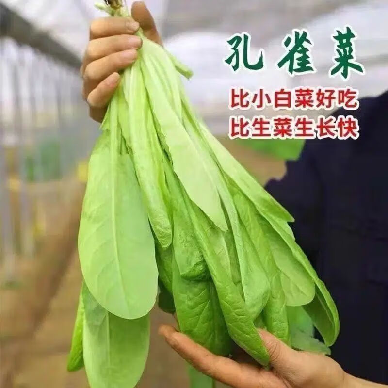 2b39c41d38be8688.jpg