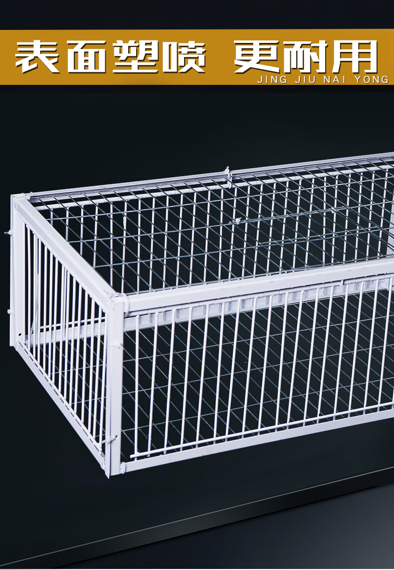 逮鸟神器捕鸽抓野鸽子只进不出抓笼加密自动捕收鸽机天落笼子撞门逮