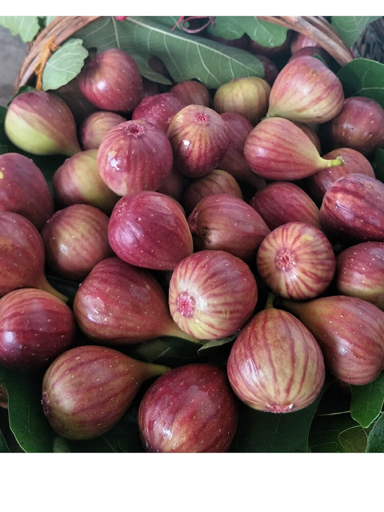 【jd顺丰空运】无花果新鲜水果紫皮红皮现摘大果 1000g 精选大果