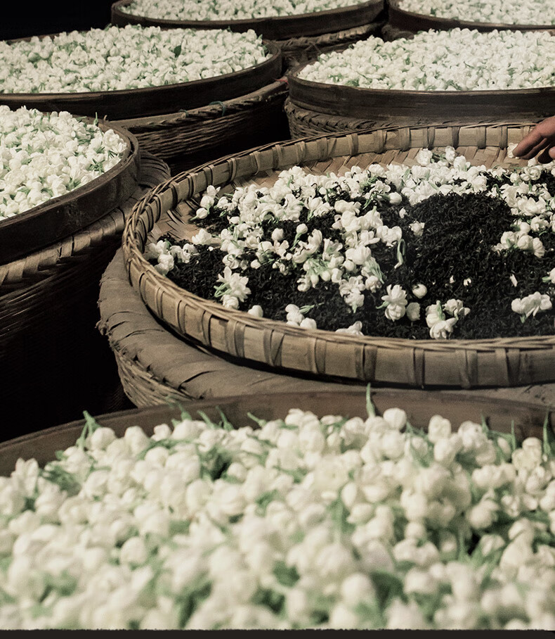 100g/包 茉莉花茶2021新茶 浓香型茉莉绿茶 四川花毛峰茶叶 成都盖碗