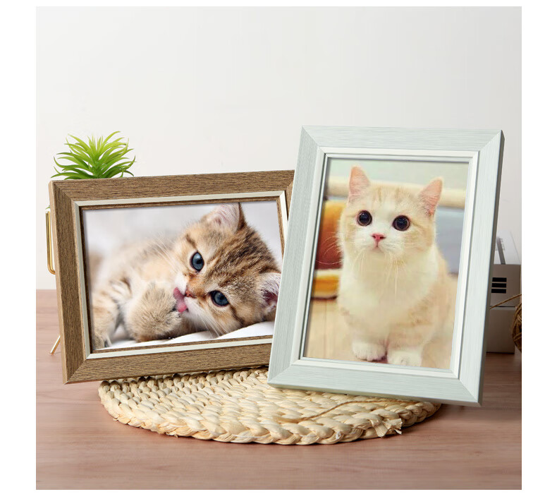 创森小米生态家居创意相框摆台7寸568七寸宠物动物生活照片墙宝宝a4