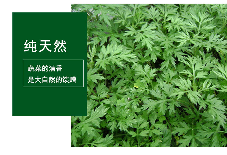 艾叶新鲜食用蔬菜嫩艾叶草糍粑粑田艾草青团子现摘清明草3斤 2000g