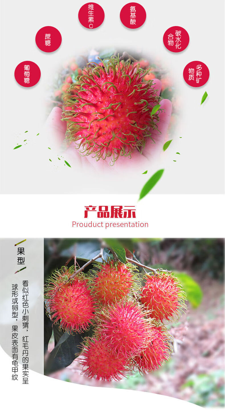 年货精选海南红毛丹水果毛荔枝5斤整箱新鲜毛丹果热带当季1斤3斤精选
