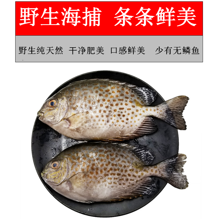 新鲜花泥猛鱼5斤海捕新鲜急冻锁鲜水产半斤肉厚鲜嫩营养宝宝爱吃2斤24