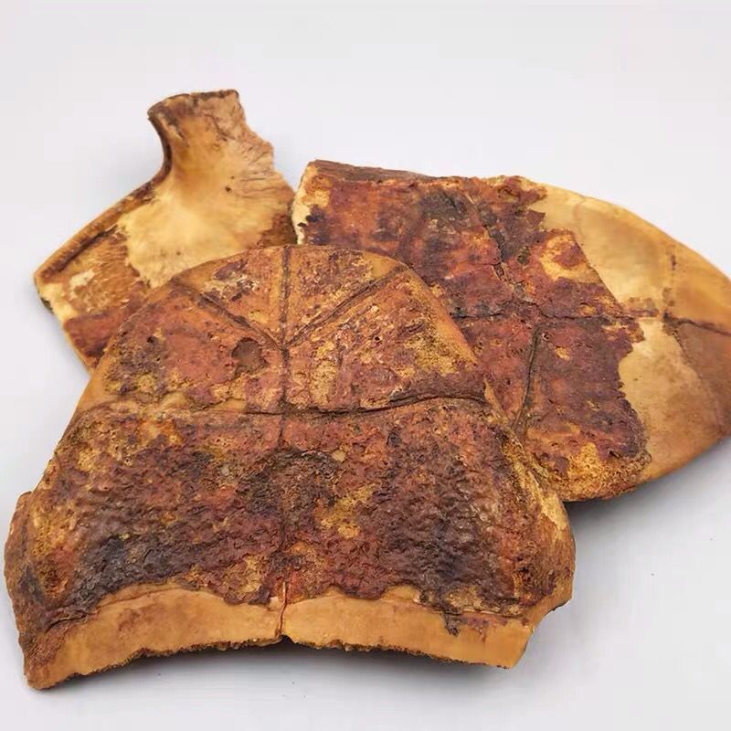 龟板中药材制龟板炙龟板醋龟板生龟板龟下甲新货醋制龟上甲500克