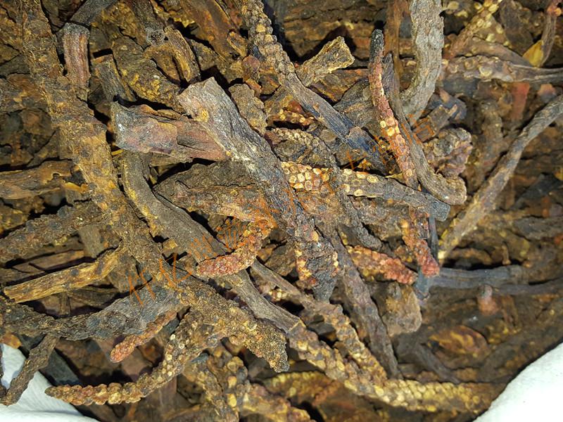 顶天柱霸花虎鞭草500克