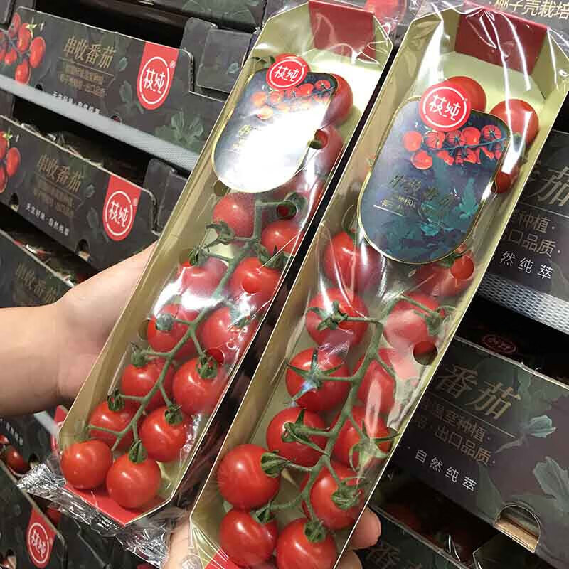 现货串收小番茄礼盒装新鲜糖果小圣女果水果2盒198克