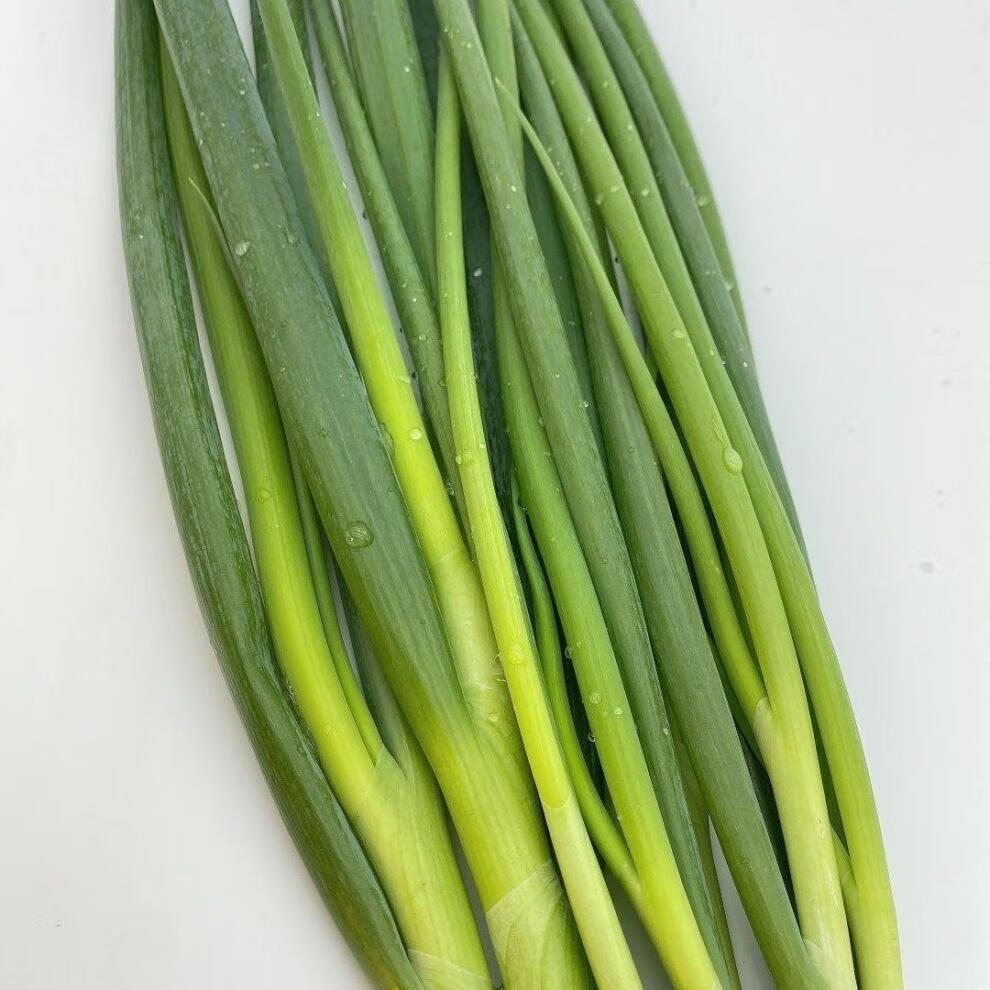 【年货精选】东北小葱新鲜蔬菜时令当季蘸酱菜农家小细香葱苗青葱小水