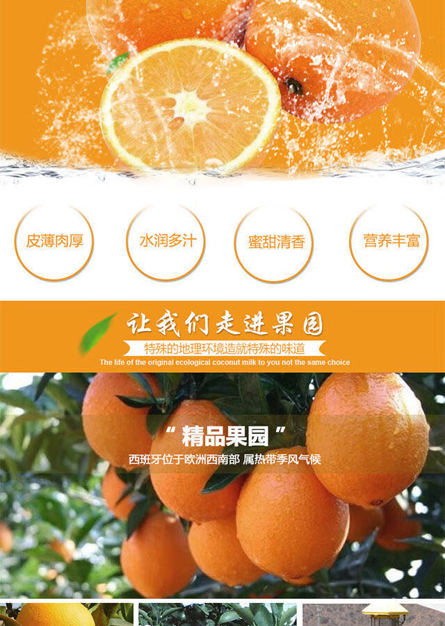 【顺丰直达】新鲜水果埃及风味橙子脐橙夏橙甜橙大果10粒 75(含)-80