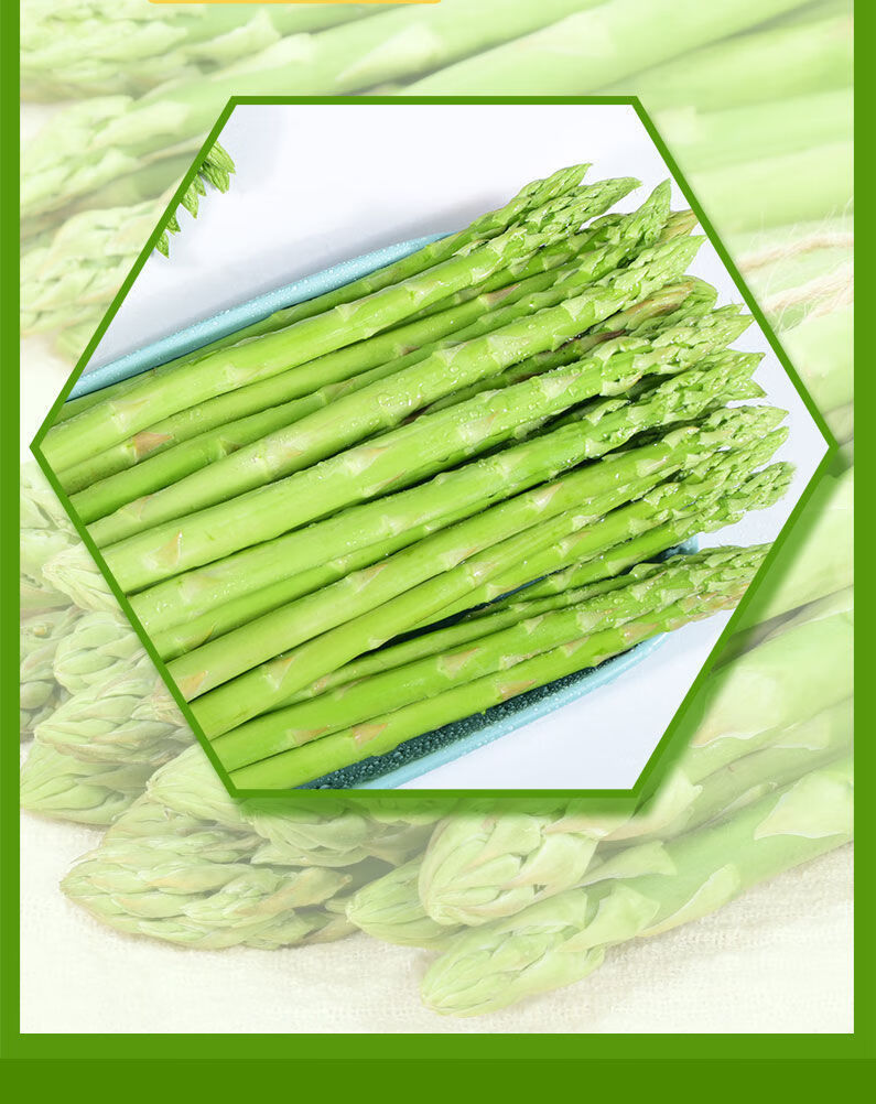 新鲜芦笋现摘现发农家绿色无公害蔬菜露天绿笋青嫩笋切白根龙须菜细笋