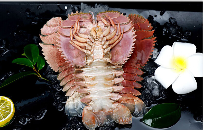 琵琶虾冷皮皮虾九齿扇虾濑尿虾姑虾爬子海鲜水产 1000g【图片 价格