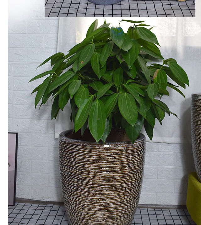 萌然新款缸型陶瓷花盆田园风大号家用客厅发财树绿宝专用花盆批发黄色