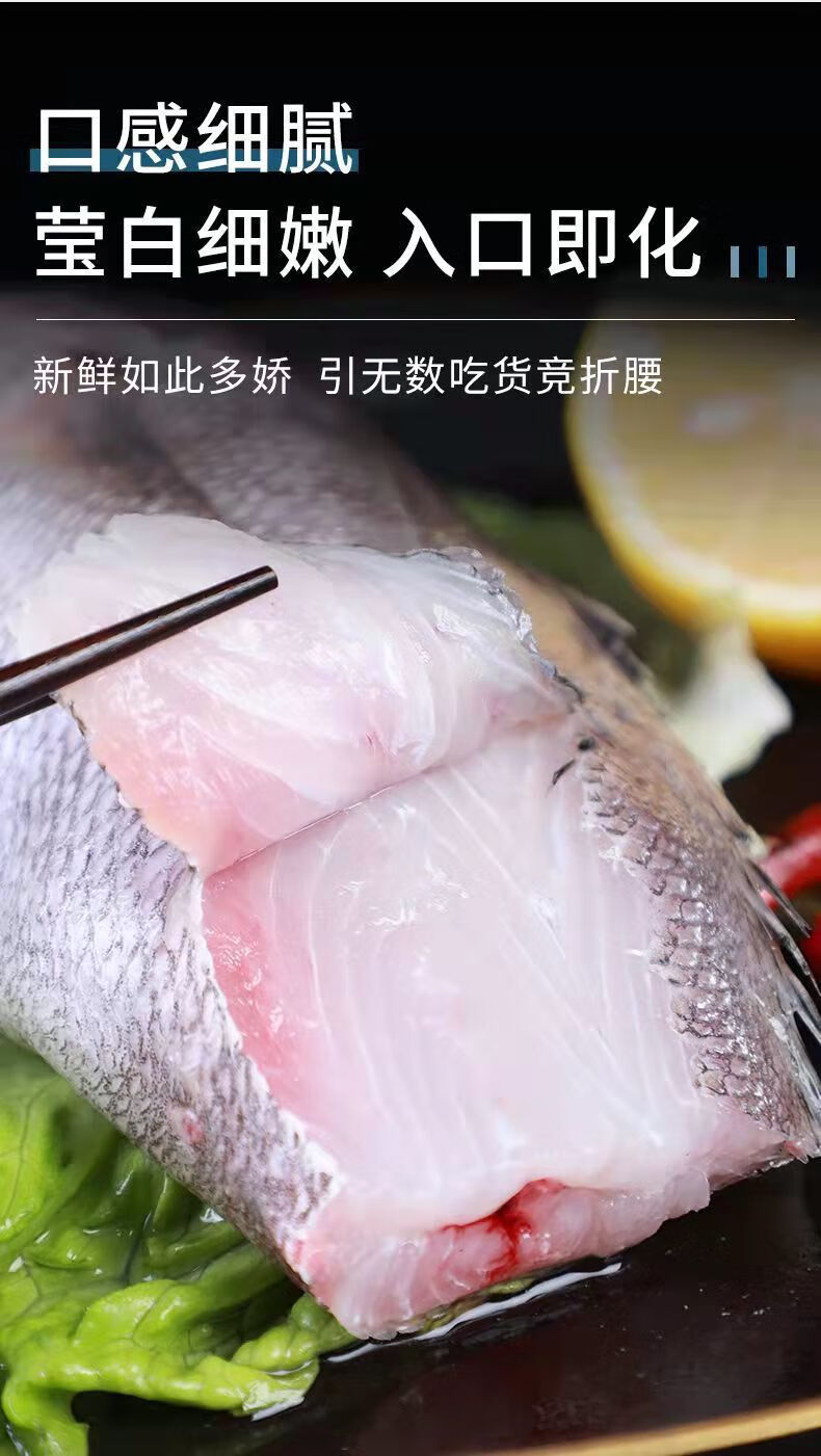 新鲜敏鱼大米鱼大号新鲜海捕速冻鮸鱼米鱼海鱼海鲜水