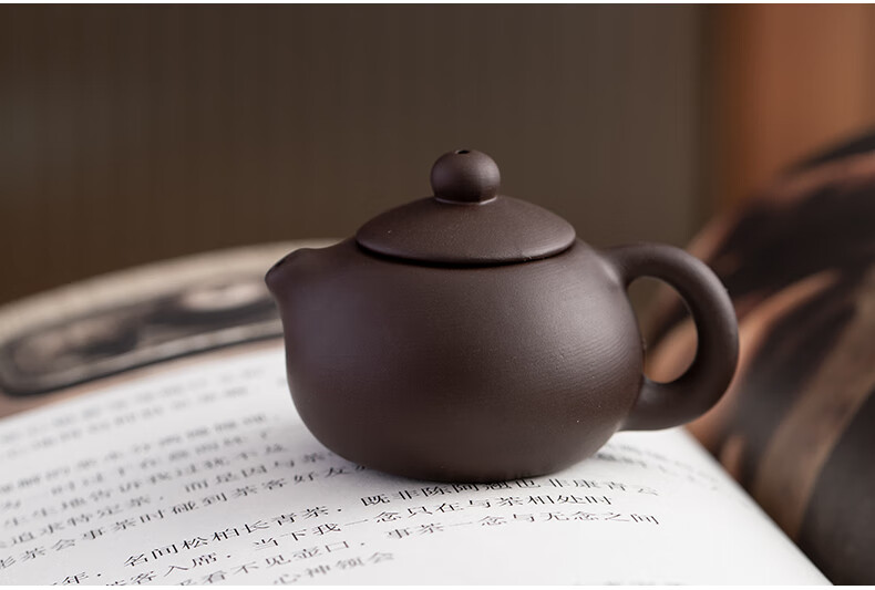 紫砂壶迷你摆件紫砂精致小茶壶可养指尖壶茶宠壶迷你西施壶小号功夫