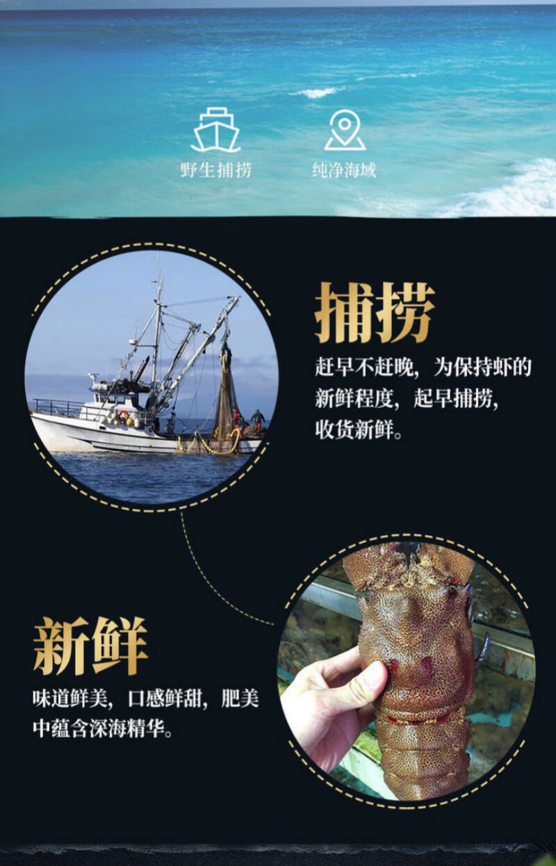 棠鲜生 犀牛虾新鲜海捕大虾 海鲜水产大龙虾 犀牛虾 400-500g/只