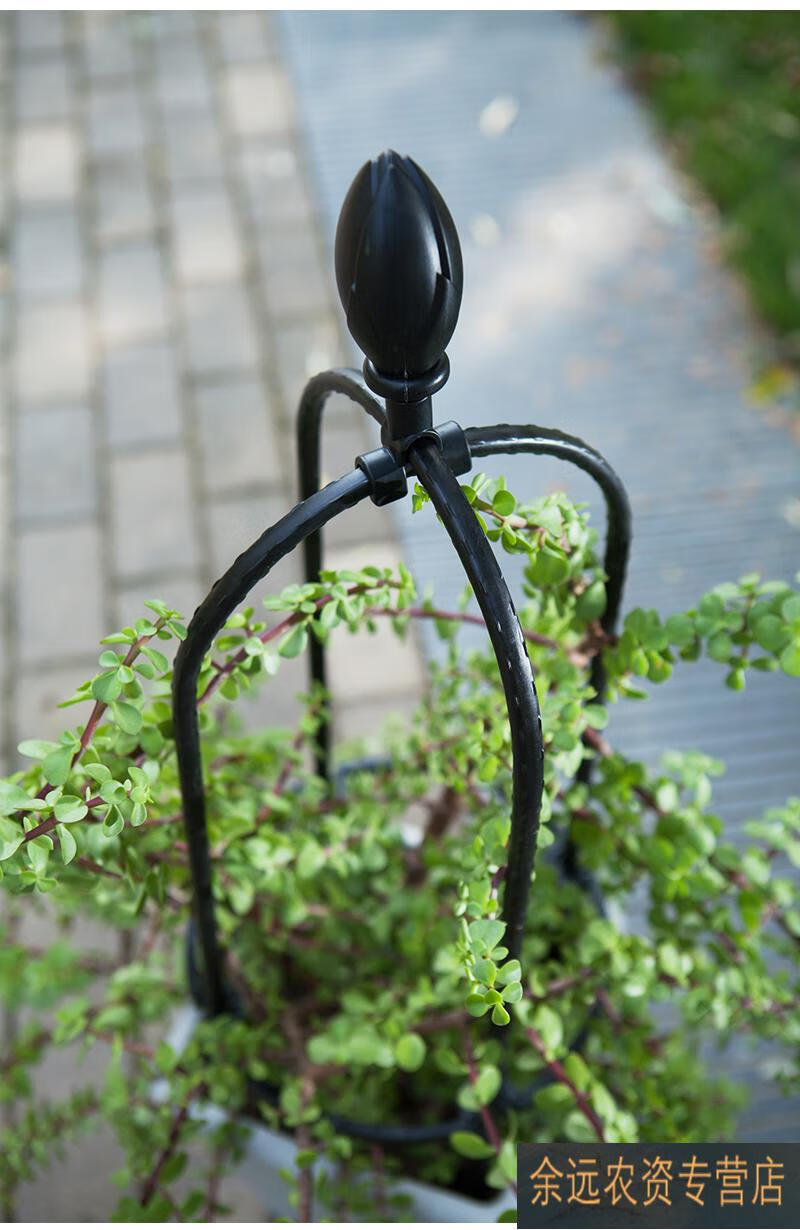 昙花支架昙花架子支架固定蓝雪花爬藤架植物造型蟹爪兰架子支架多层