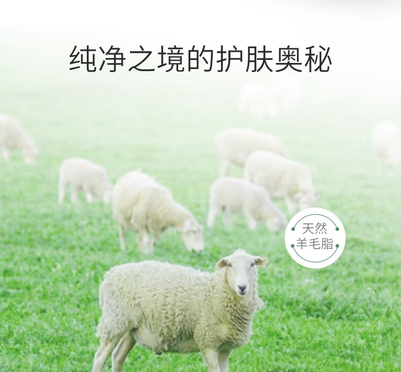 梦禾（Meng H） 梦禾（mengh）底妆伴侣提亮肤色凡士林绵羊油面霜滋润不油腻深层补水男女通用 1瓶