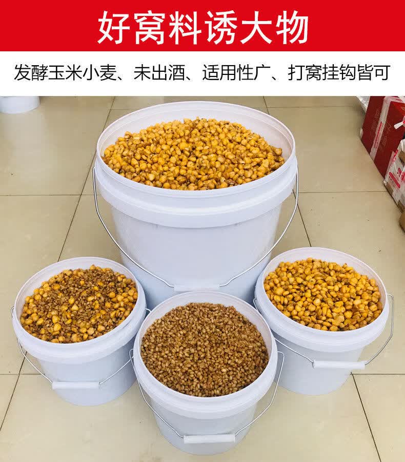 南啵丸老坛发酵玉米小麦通杀窝料野钓黑坑鱼饵料鲫鱼草鱼鲤鱼酒糟鱼