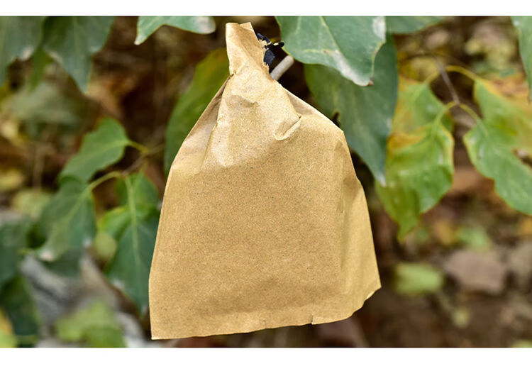 苹果专用套袋苹果袋果袋育果袋水果套袋苹果袋子黄金奈李柠檬套袋享动