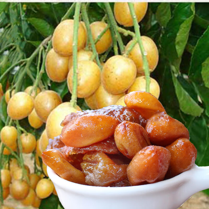 惠州博罗黄皮干凉果特产核黄皮蜜饯果干黄皮豉休闲食330g1袋