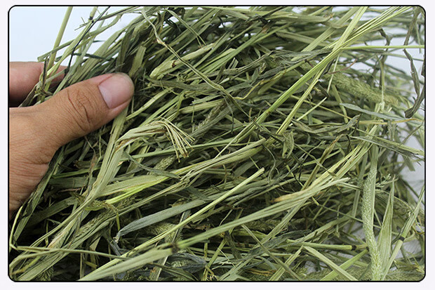 5kg苜蓿草兔粮干草兔子龙猫豚鼠荷兰猪提木西草 提摩西草1.