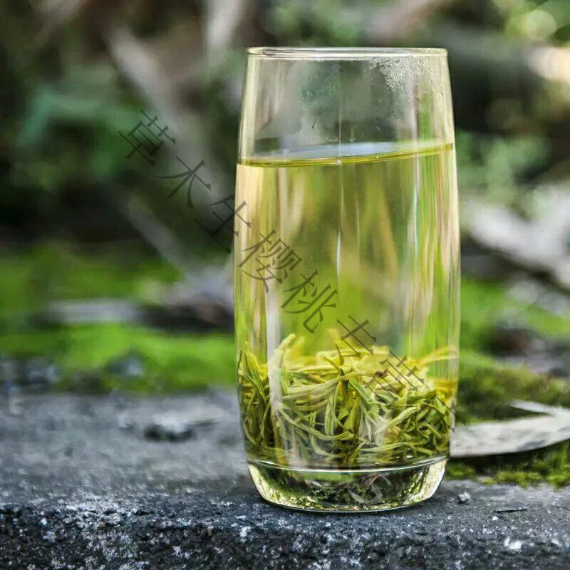 陕西茶叶2022新茶紫阳毛尖富硒茶绿茶特级蒿坪毛尖炒青125g散青茶