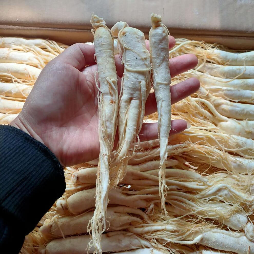 北京同仁堂原料白糖参长白山白糖参人参白参儿童大支小支500克内廷上