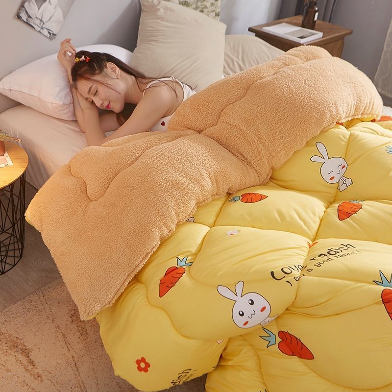 被子冬季加厚保暖冬被子双人冬天被芯棉被单人学生宿舍被褥羊羔绒天仙