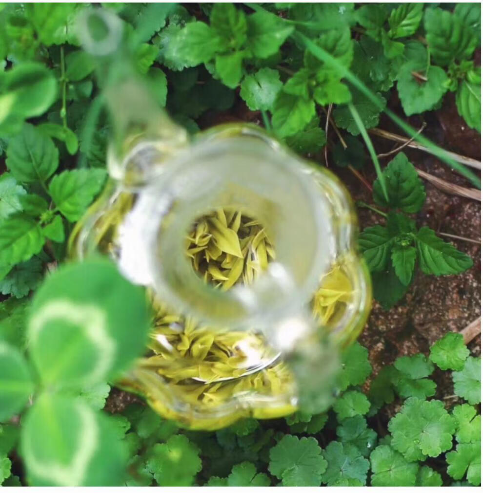 莫干山黄芽75g罐莫干黄芽2021新茶春明前高山云雾绿茶莫干山旅游特产