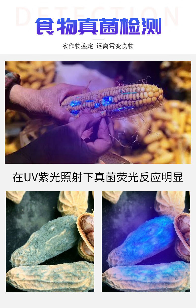 检测笔抖音同款霉菌紫外线灯365395nm荧光剂检测手电