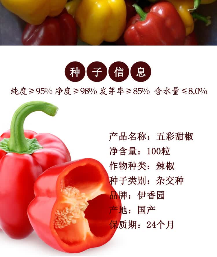 五彩灯笼椒种子菜园甜椒青椒蔬菜种子秋季四季播阳台盆栽辣椒籽天旸