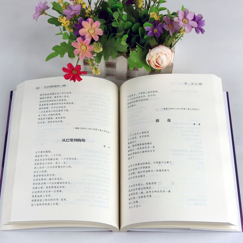 2019中国年度作品诗歌林莽现代诗歌集精选鉴赏赏析书籍现代出版社