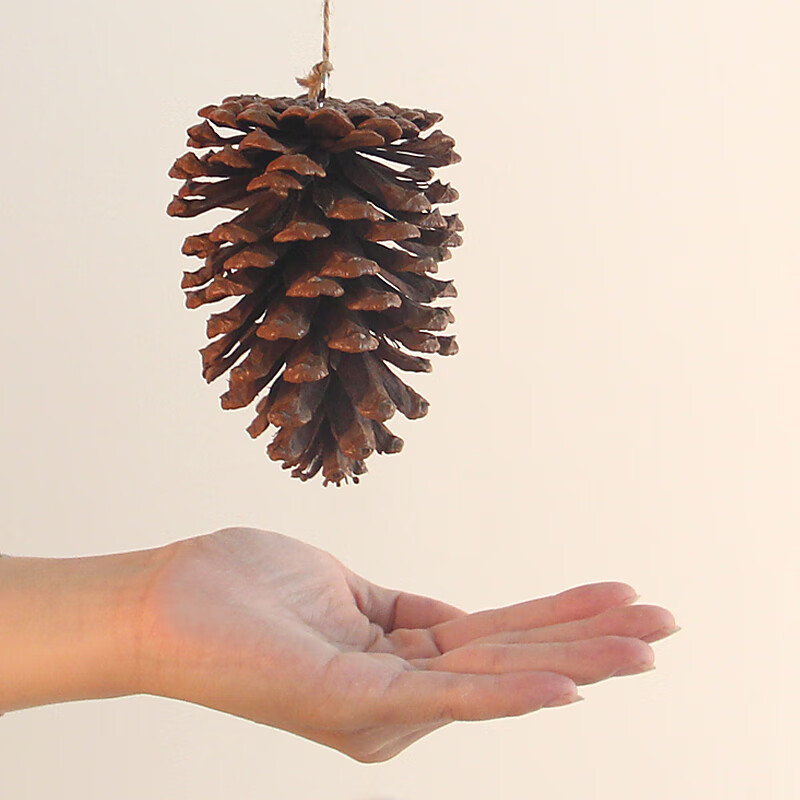 松果装饰品松塔野生diy手工材料干花创意幼儿园森林干树枝大 带挂钉