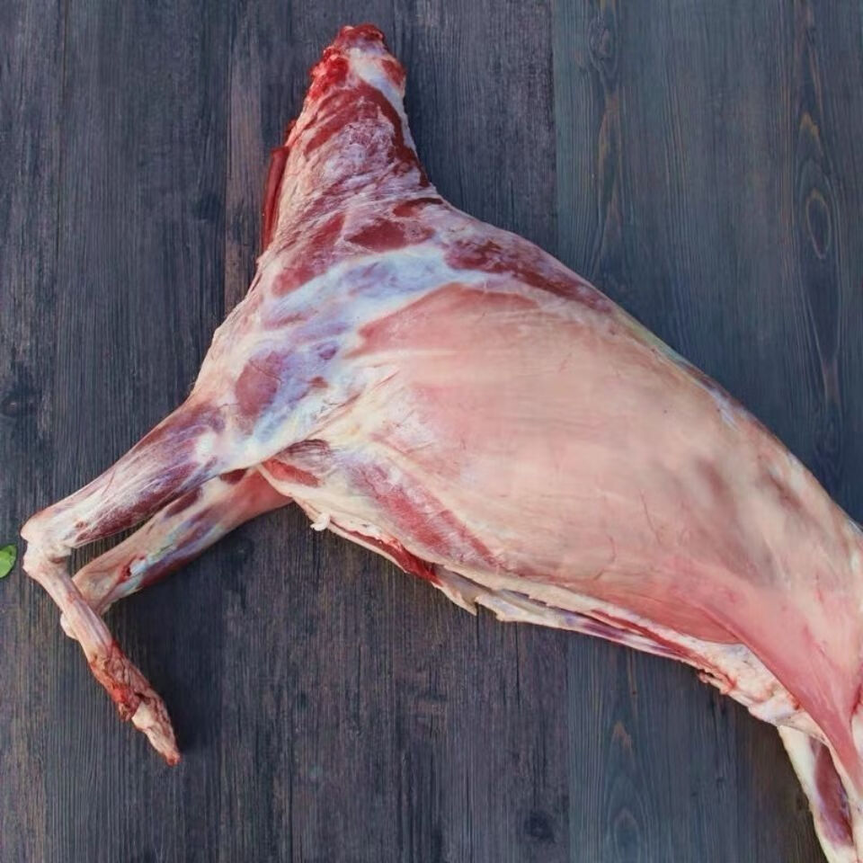 内蒙古烤全羊羊肉现杀小羔羊非新疆烤肉羊蝎子羊排烧