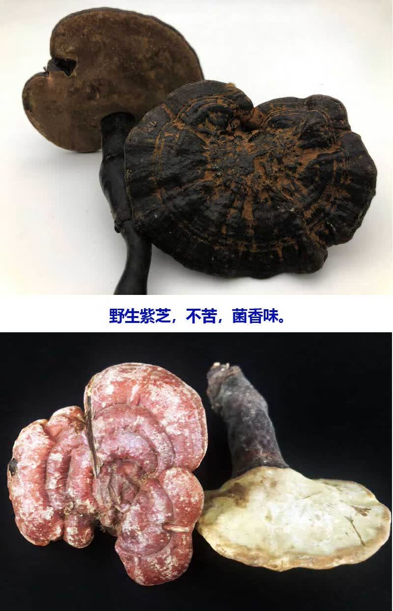 五类六色灵芝白芝赤芝青芝紫芝黑芝黄芝干品【图片 价格 品牌 报价】