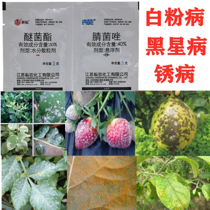 锈病白粉病专用药花卉果树月季草莓梨树锈病白粉病黑星病杀菌剂 10g