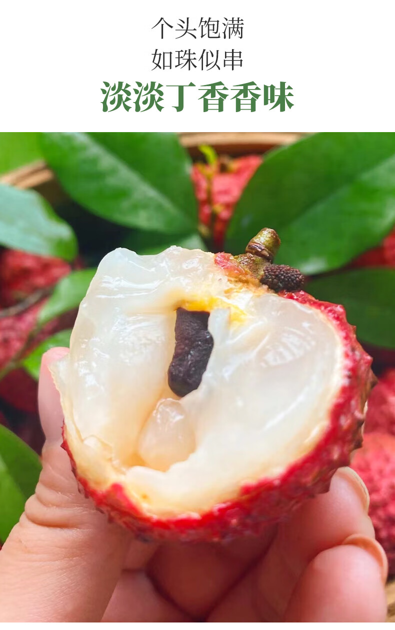 海南/四川荔枝王香甜爽口大颗荔枝新鲜采摘老树荔枝纯甜无酸当季水果