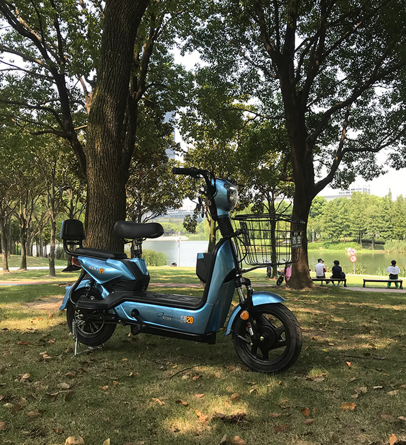 摩托车小型杰宝大王新国标电动车可上牌长跑王时尚女士上海高端真空胎