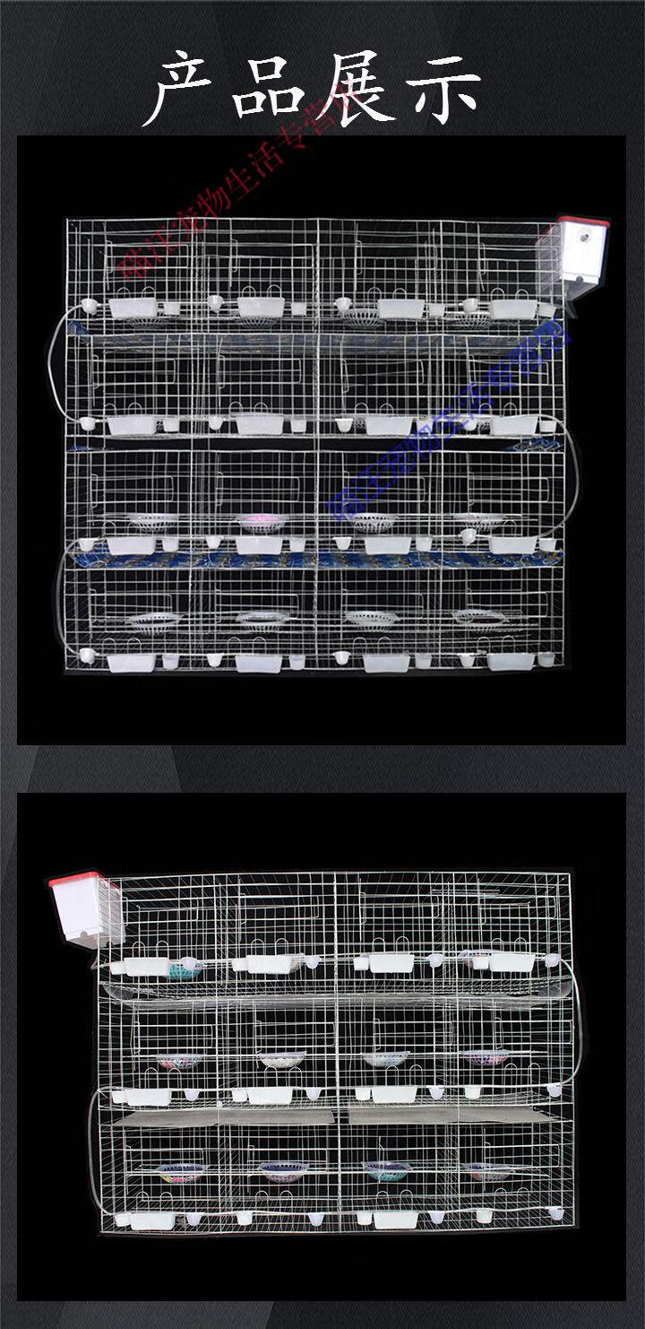 瑾伦大号加粗加重鸽子用品用具12位16位养殖鸽子笼信鸽配对笼肉鸽繁殖
