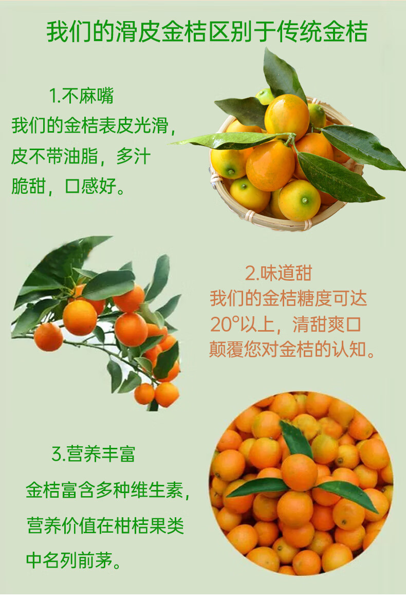 融安滑皮金桔简介图片