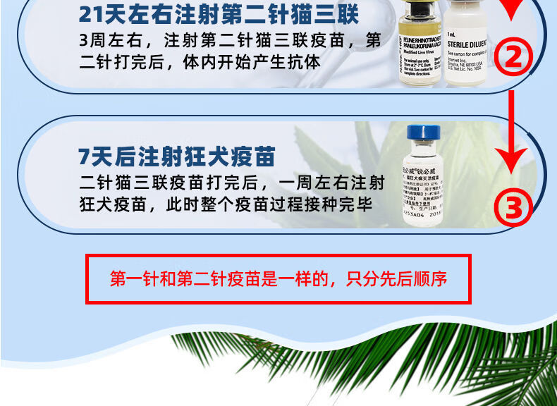 持证经营进口英特威猫三联01岁幼猫成猫疫苗猫瘟猫鼻支细狂犬疫苗幼猫