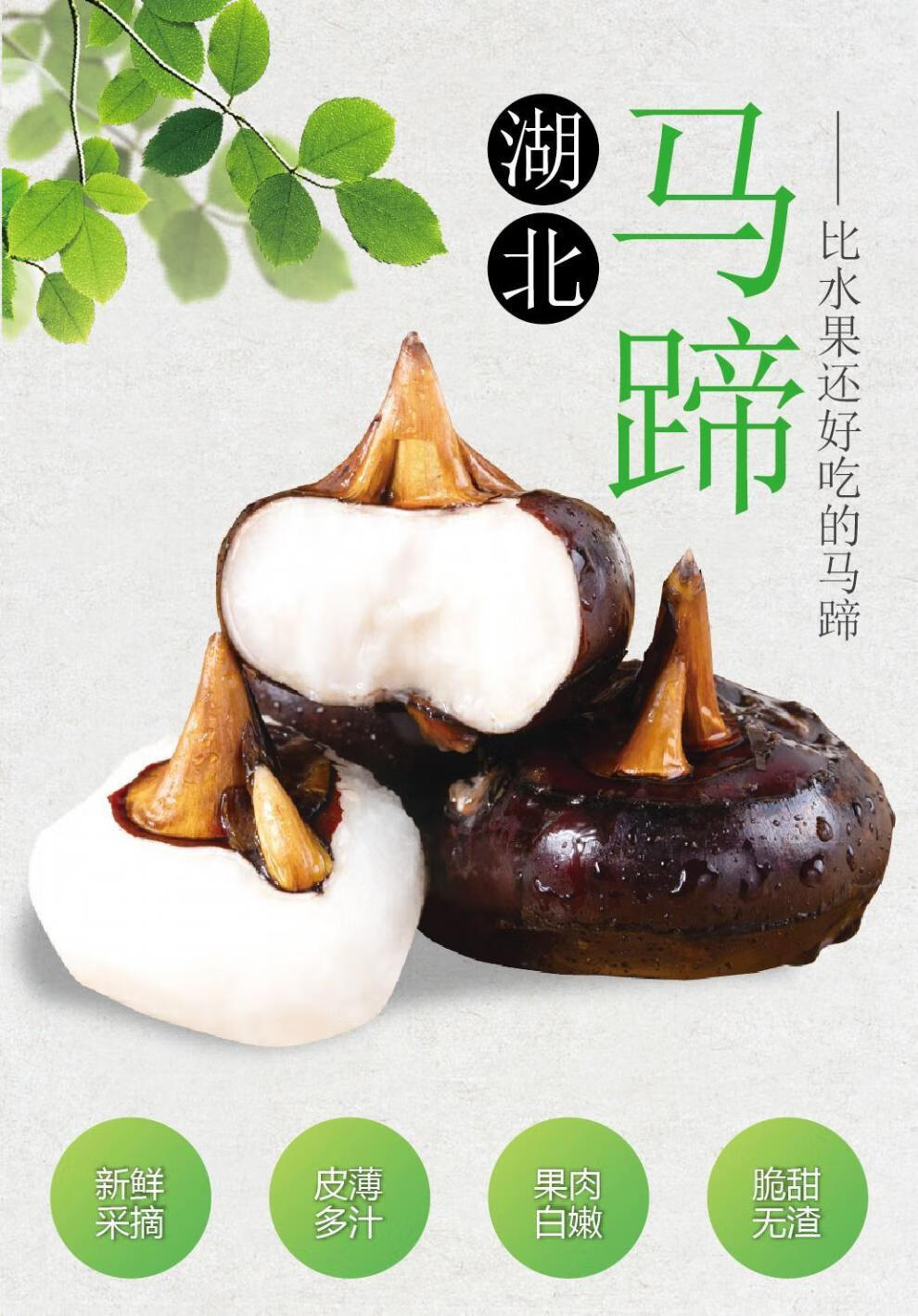 精选直发现挖马蹄荸荠新鲜湖北当季水果荠孛荠大马蹄珍珠果莲地栗地梨