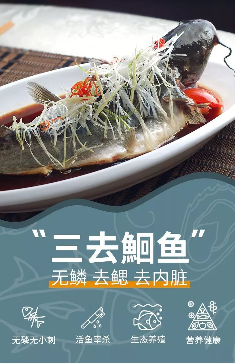 开背江团鱼鲜活淡水大鮰鱼钳鱼烤鱼半成品食材火锅餐饮 500-600g 5条