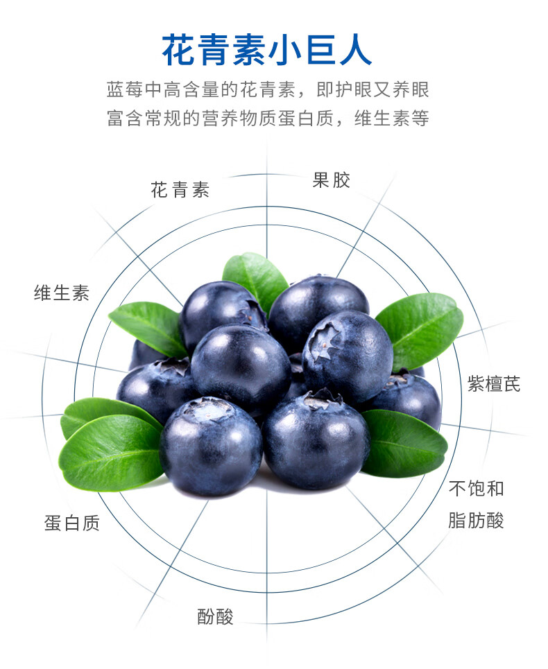 蓝莓新鲜鲜果当季云南蓝莓孕妇水果生鲜应季大果新鲜蓝莓大果1盒装125