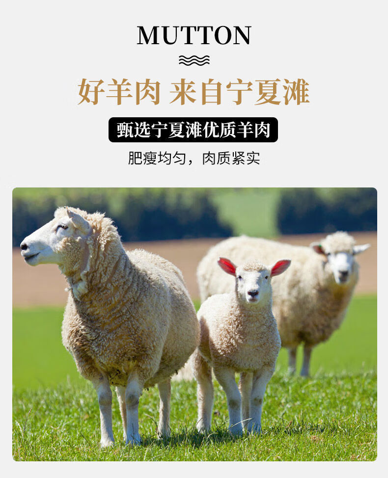 正宗新鲜宁夏盐池散养滩羊羔子1540斤半羊整只全羊现宰鲜羊肉半只15斤