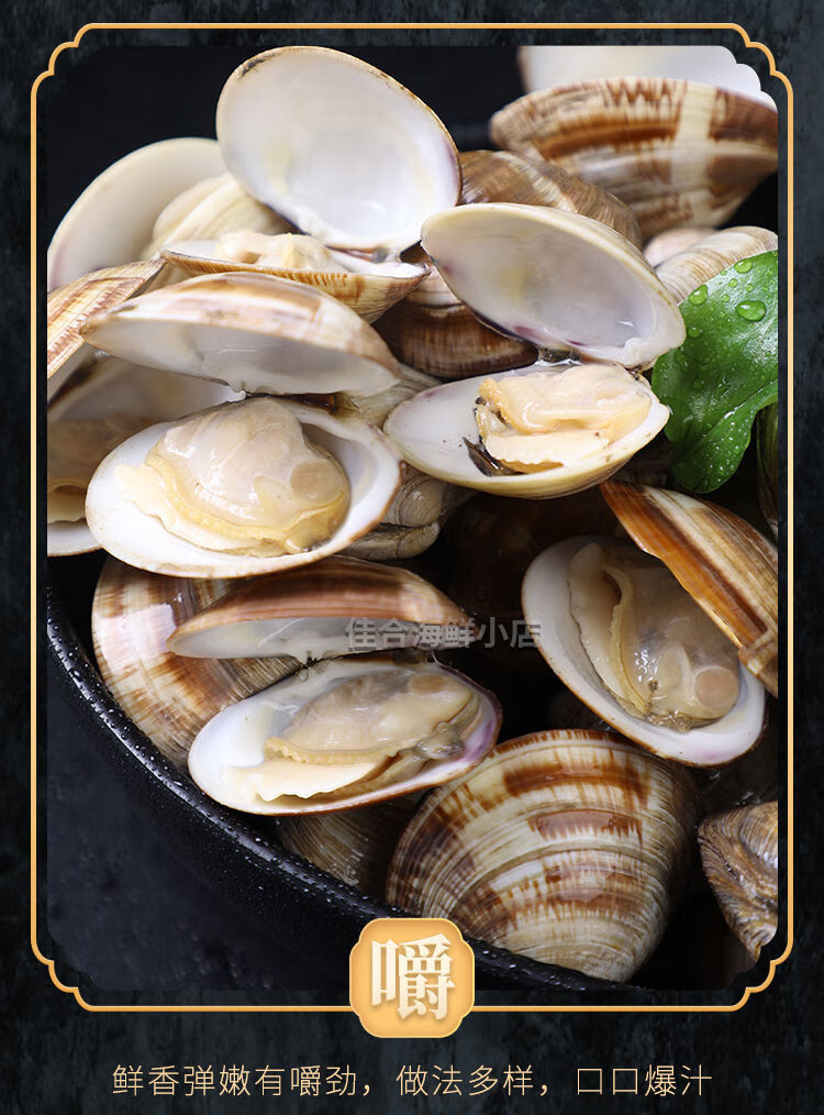超大美贝新鲜花蛤鲜活水产鲜活无沙蛤蜊花甲海鲜批发5斤收藏关注享