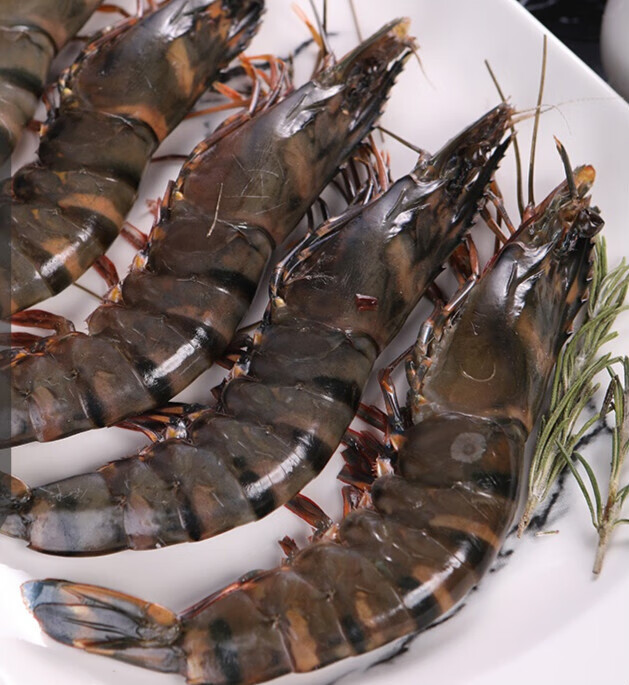 黑虎虾新鲜大虾鲜活速冻海虾虎虾九节虾冻虾斑节虾老虎虾400g1719cm